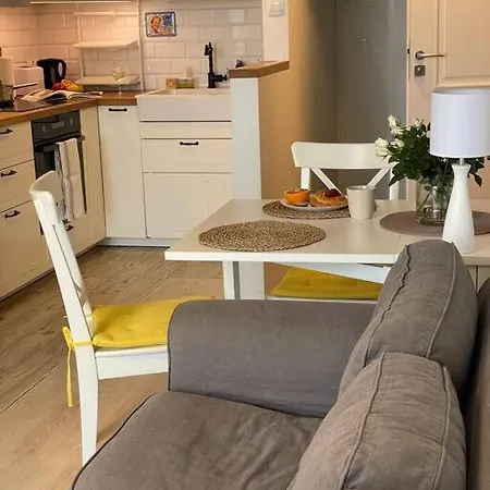 Urocze Mieszkanie Z Tarasem.gym.netflix.wifi Apartment